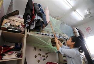 河南爸爸爆料女学生视频,真相与争议交织